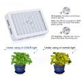 Best Home Indoor Grow Lights