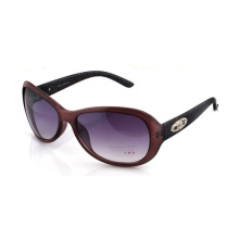 KASHA Sunglasses