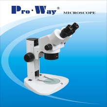 Zoom Microscópio Estéreo (LBX-W)