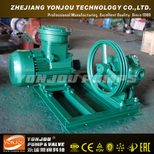 Yonjou Rotary Gear Pump