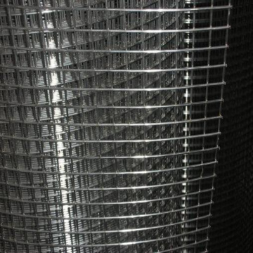 Strongest Large Stock 304/316 Stainless Steel Wire Mesh