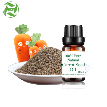 Atención médica orgánica 100% de aceite de semilla de zanahoria