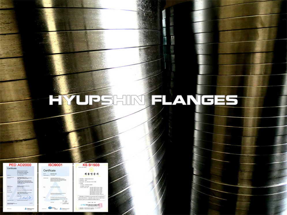 Hyupshin Flanges Sans1123