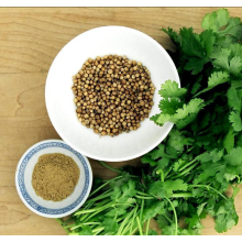 Coriander seed powder for cooking
