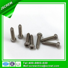 Pan Head Stainless Steel Self Tapping Screw