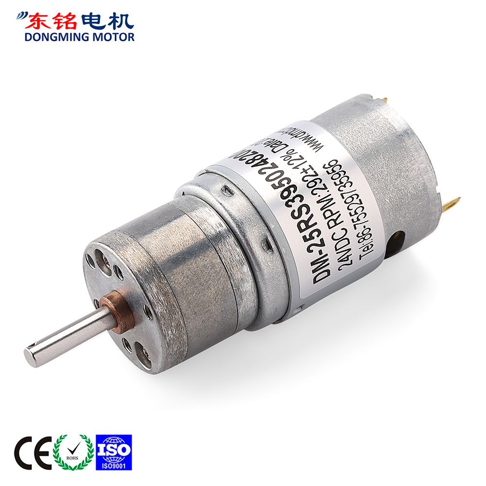 100 rpm 12v dc gear motor