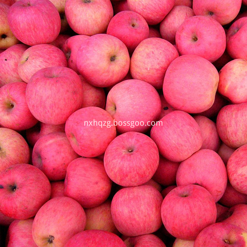 Bulk Red Fuji Apples