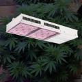 Samsung 301B LED Grow Panel Light Plants Growing