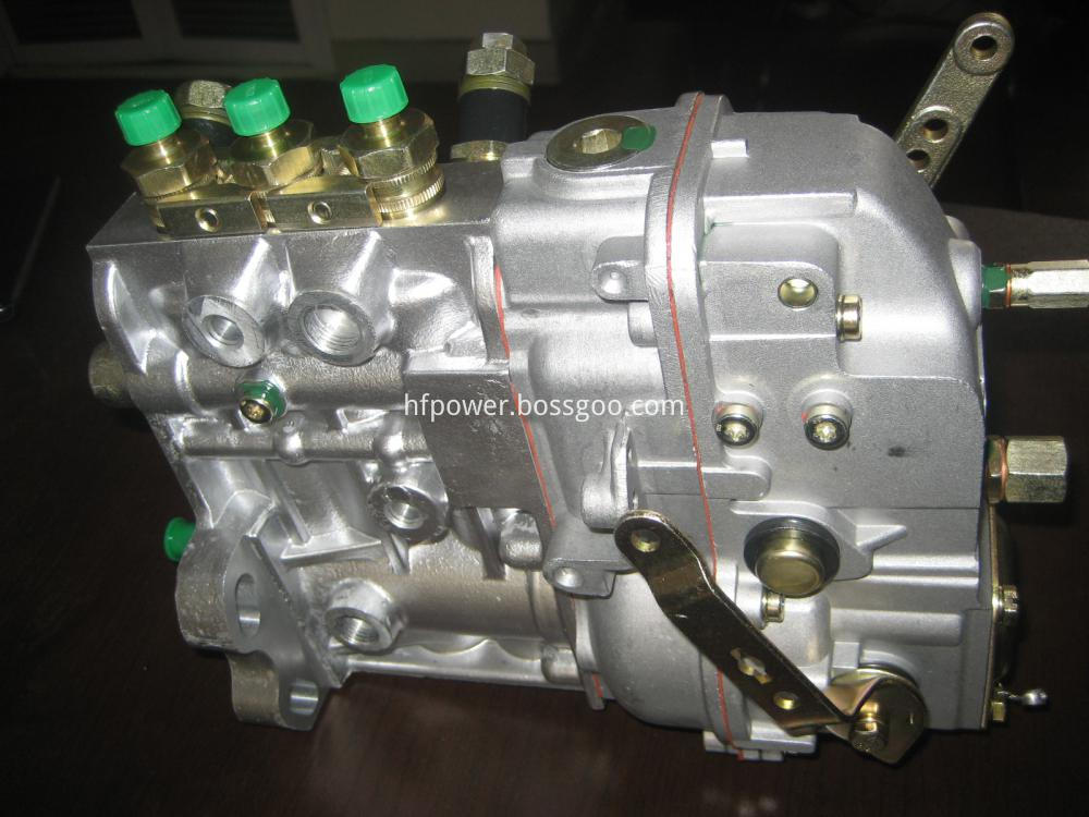 Injection Fuel Pump for DEUTZ F3L912 (4)