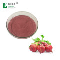 Food ingredients beetroot extract powder