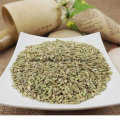 Chinese New Crop Best Price for Fennel Seeds