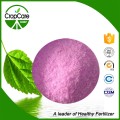 Fertilizante NPK soluble 19-19-19 Químico