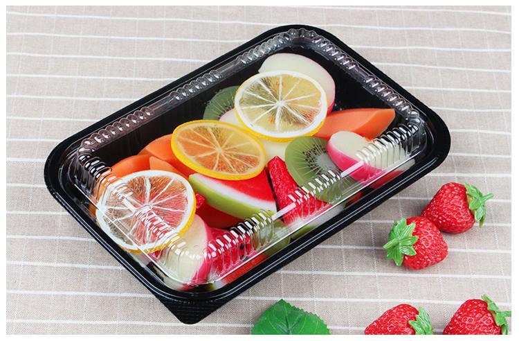 plastic sushi container