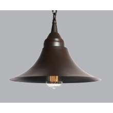 Metal Decoration Hotel Pendant Lighting (C121)