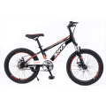 Child Bicycle Mountain Bikes for Students