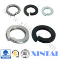 Flat Washer Spring Washer Tooth Washer All Washers