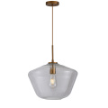 Hot Sale Indoor Hanging Shaped Modern Pendant Lamp