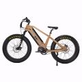 Full suspension fork Bafang M620 g510 fat bike