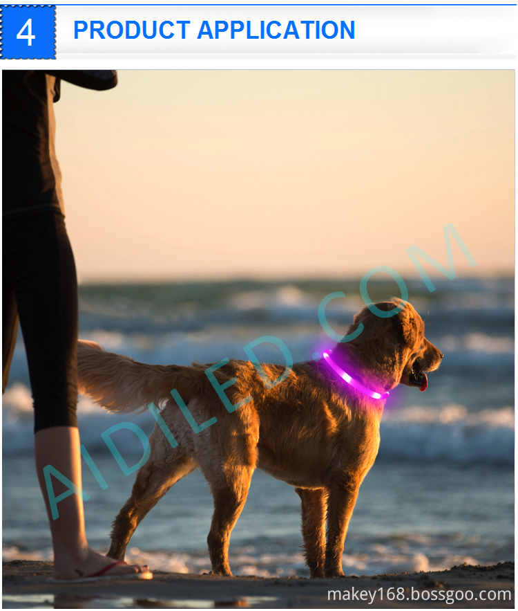 Dog Led Pet Safety Collar