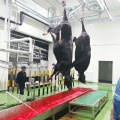 Новый крупный рогатый скот abattoir дизайн говядины