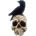 Raven sur Skull Halloween Home Decor