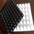 HDPE Dimple Drainage Protection Board