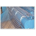 Galvanizado ou PVC Revestido Chain Link Fence para Animais