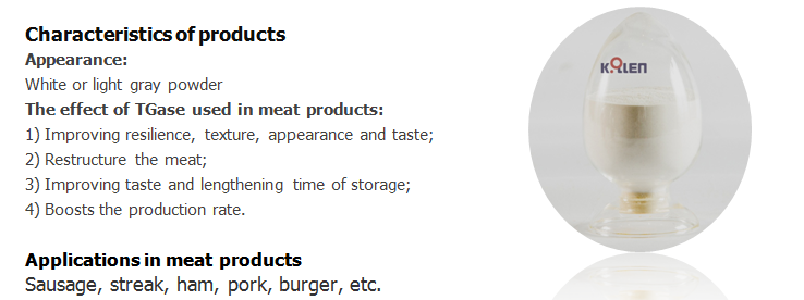 Transglutaminase for Vegetable protein products