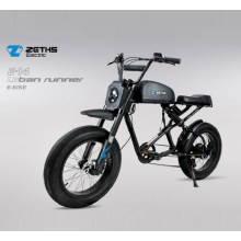 Zero pollution electric bike urban