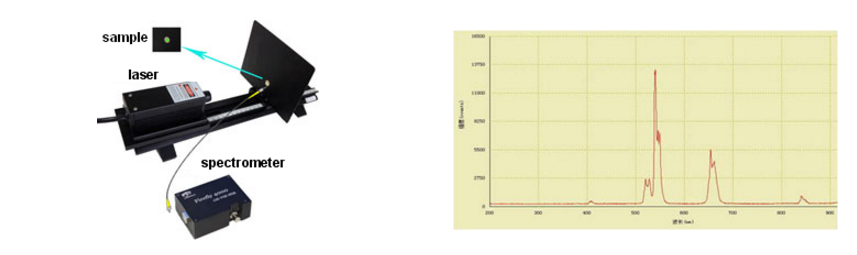 Fluorescence spectrum