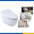 Toilet Bidet Intelligent Toilet Seat Cover Heating Elements