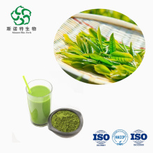 High Quality Instant Matcha Tea Powder