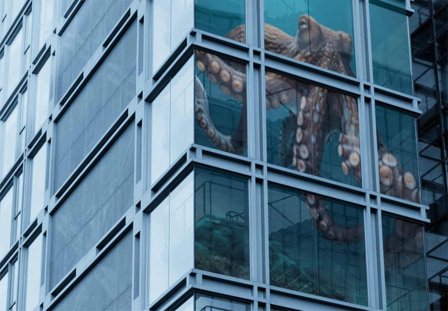 High transmittance film LED display case High transmittance film LED display case