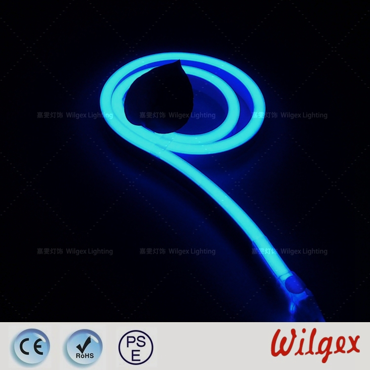 Neon Rope Lights Led