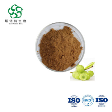 Natural fruit extract phyllanthus emblica powder amla powder