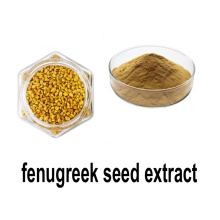 Meilleur extrait de graines de fenugrec de médecine à base de plantes en stock
