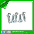 Tornillo Torx de Cabeza Plana con Zinc plateado con Logo