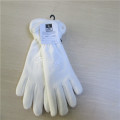 Women's Polar Fleece Gloves With High Qulaity and Low Wholesale Price