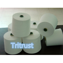 Polyester Spun Yarn for Sewing Thread (50s/3)