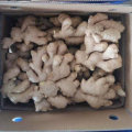 Golden Supplier of Fresh Air Dry Ginger