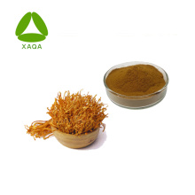 EXTRAIT CORDYCEPS MILITARIS CORDYCEPIN 1% 98% poudre