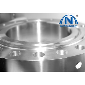 European standard welding neck pipe flanges