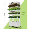 Tipo de gabinete Hydroponic Home Used Vegetable Plant Planter