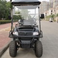 Low price golf cart with off road tires