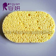 Cellulose Sponge