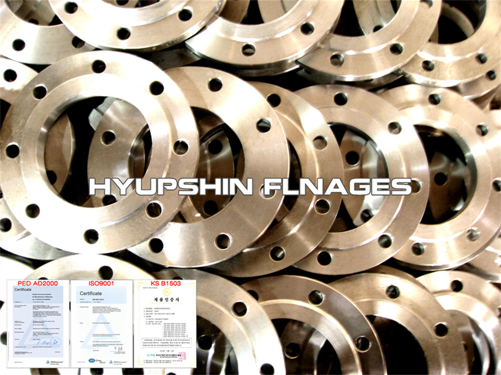 Hyupshin Flanges Raised Face Flanges Pn16 Pn10