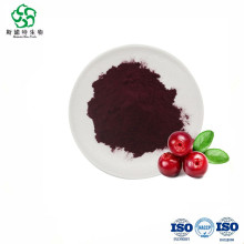 Cranberry Extract Proanthocyadinin Pulver 25%