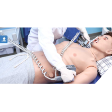 Simulateur de patient humain ex-avancé