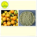 Citrus Aurantium Fruit Extract Tangeretin 98% CAS 481-53-8