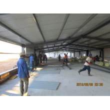 Automatic Chicken Equipment and Prefabricated Poultry Shed Contruction and Installation